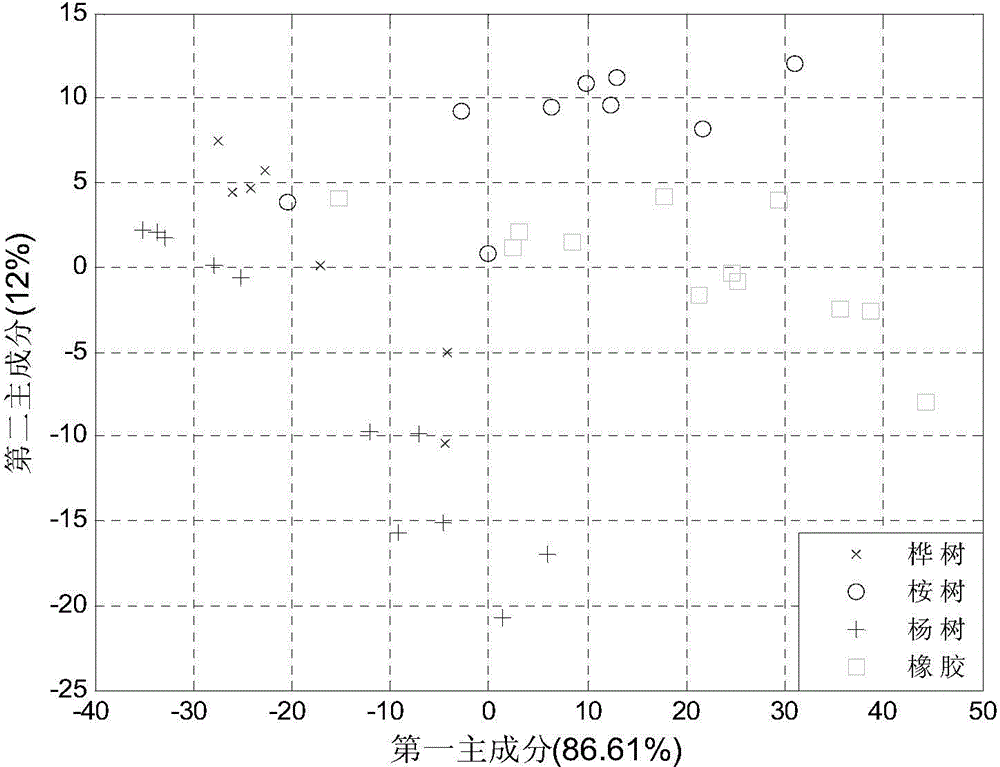 Method for rapidly identifying propolis source