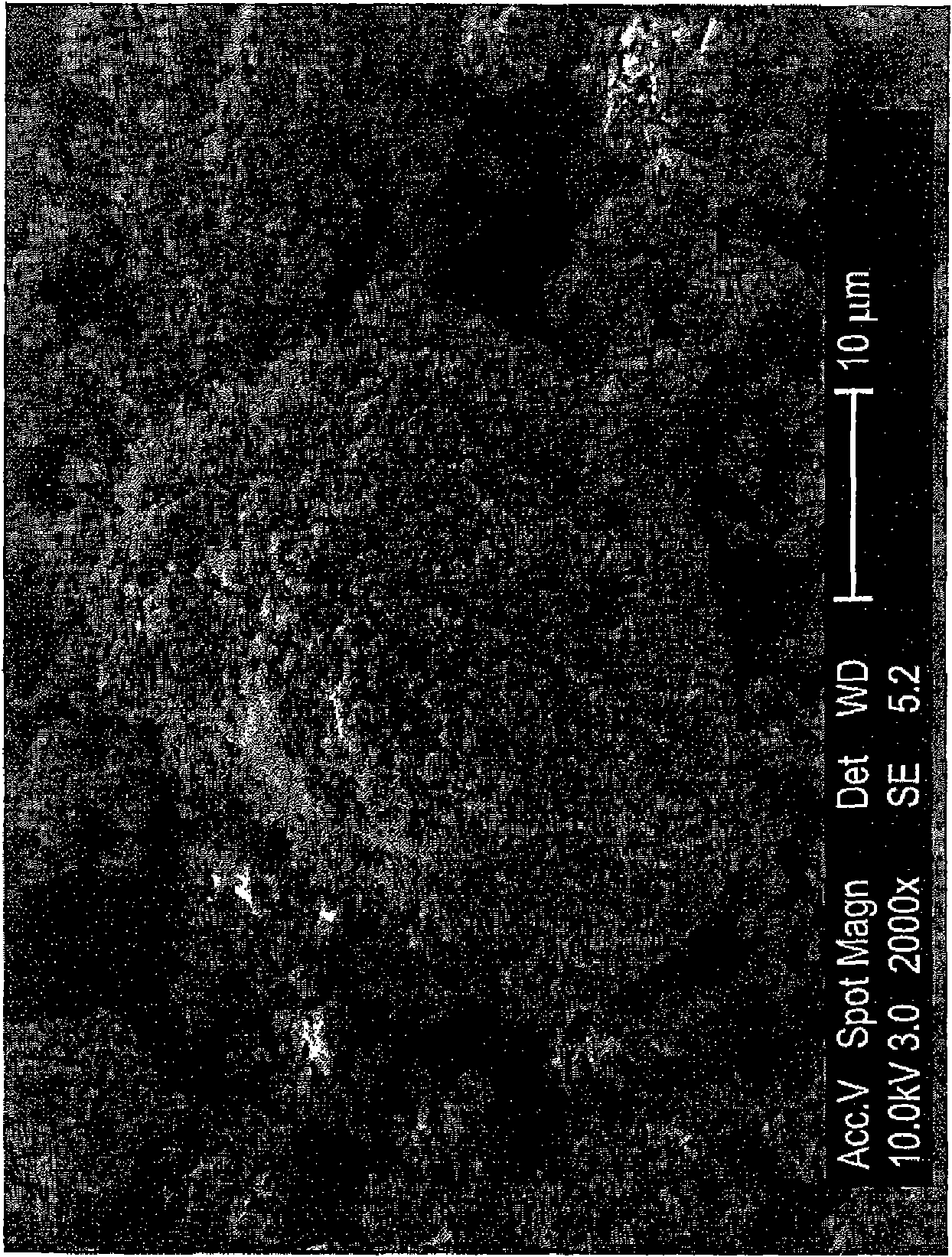 Method of processing active materials for use in secondary electrochemical cells