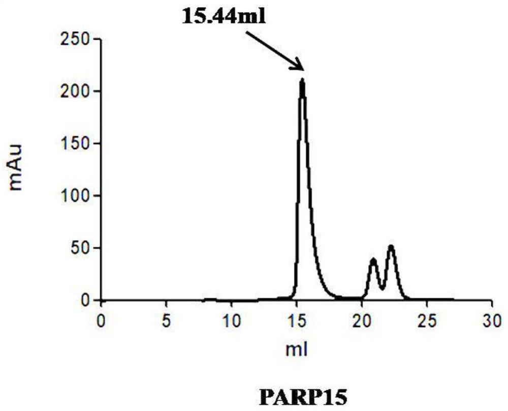 Compound crystal of PARP15 protein and inhibitor Niraparib thereof, and preparation method for compound crystal