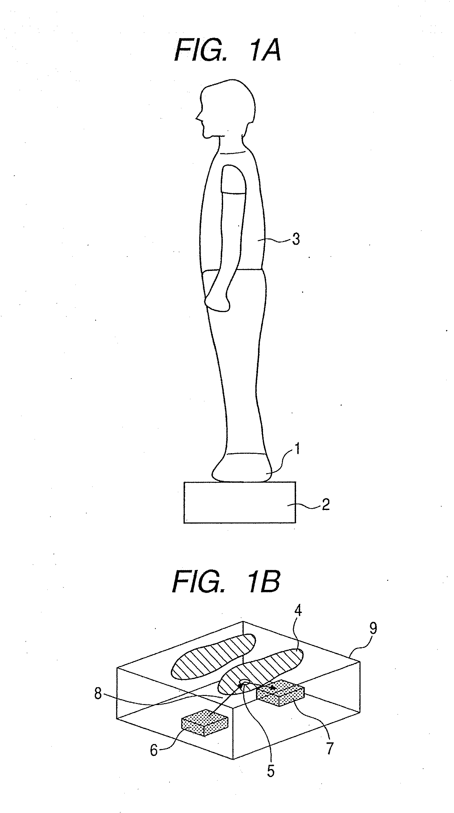Ojbect information acquisition apparatus and object information acquisition method