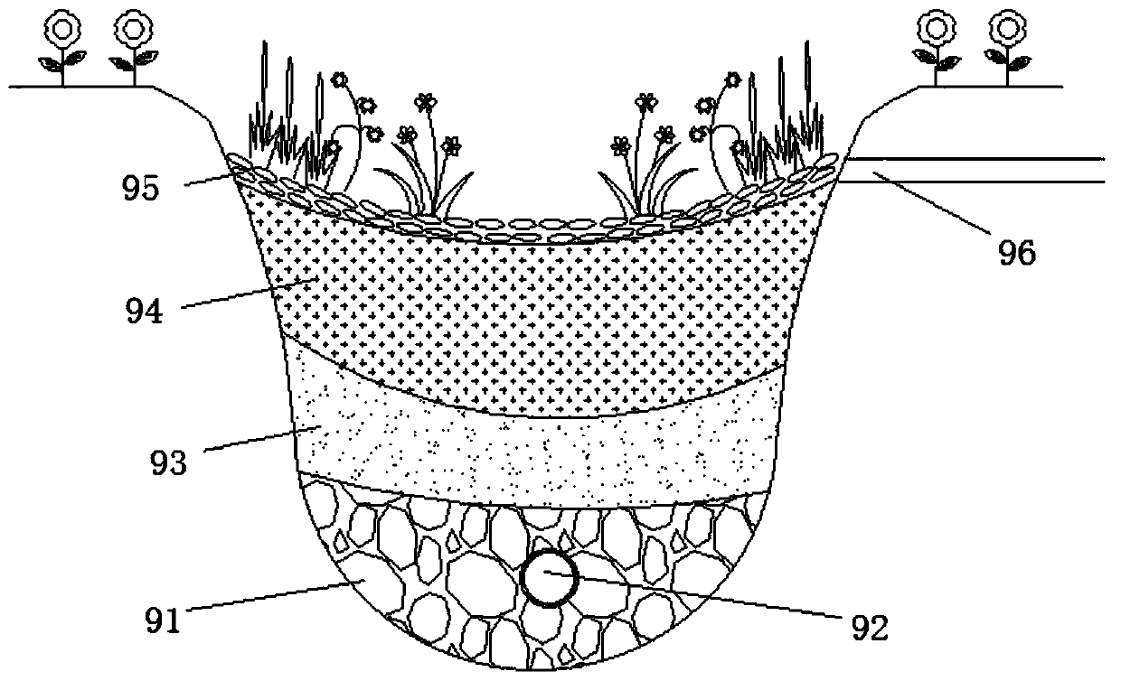 Plant buffering belt structure for improving ecological diversity and construction method thereof