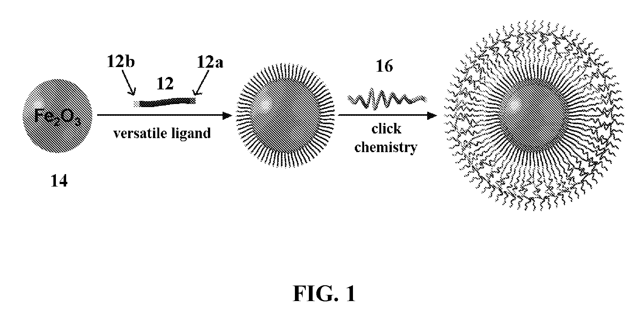 Methods for controlling surface functionality of metal oxide nanoparticles, metal oxide nanoparticles having controlled functionality, and uses thereof