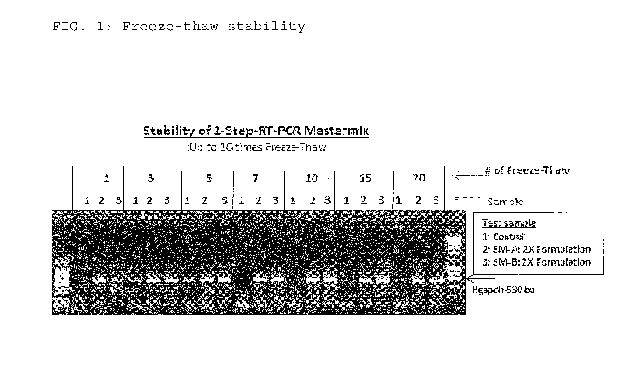 Compositions and Methods for RT-PCR