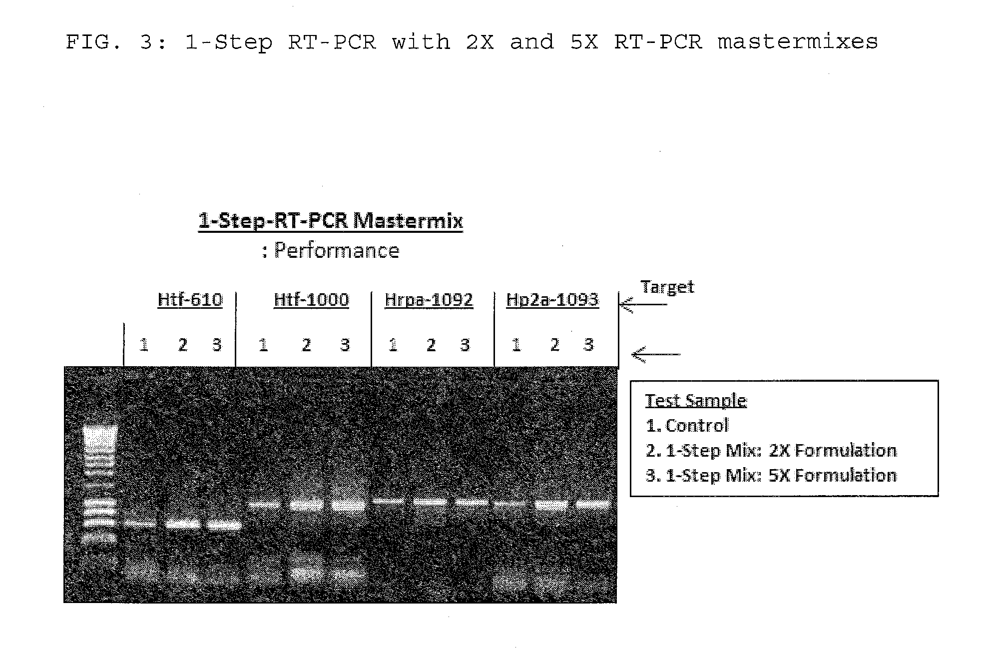 Compositions and Methods for RT-PCR