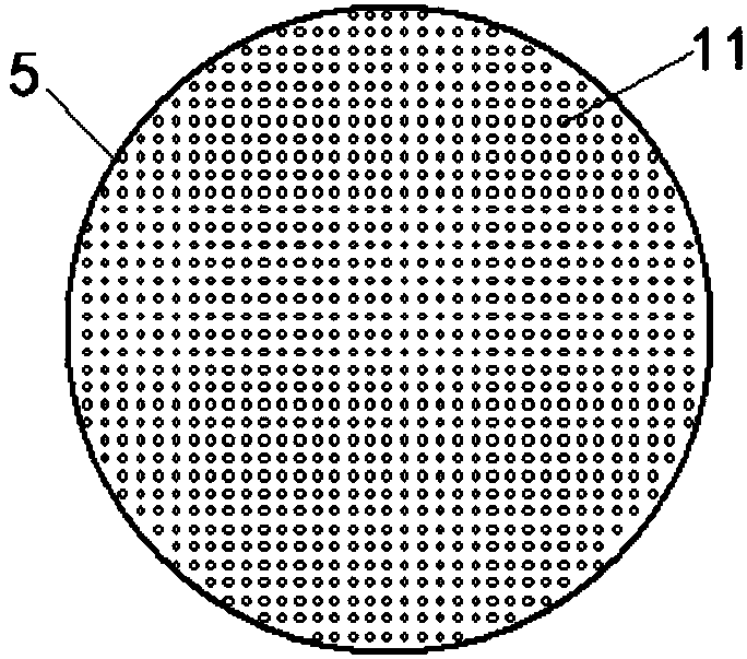 Plasma powder balling device and method and application thereof