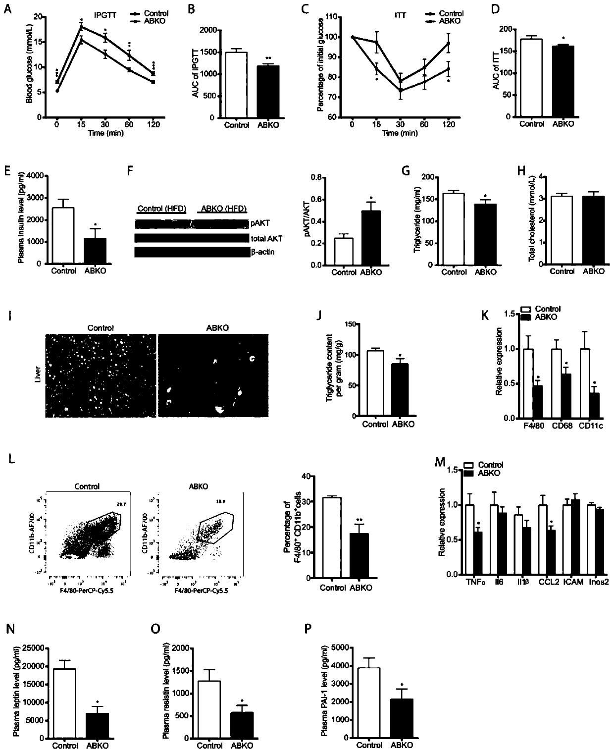 Method for constructing mice with specific beta-catenin knockout mature fat cells