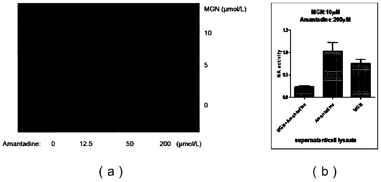 Application of cortex magnoliae officinalis in preparing anti-influenza drugs