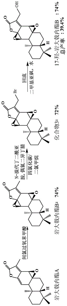 Semisynthesis method of 17-hydroxyjolkinolide B