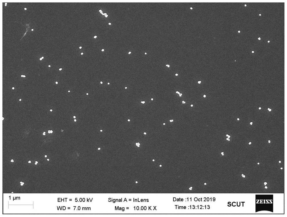 Preparation method of traditional Chinese medicine molecule doped polypyrrole nanoparticles