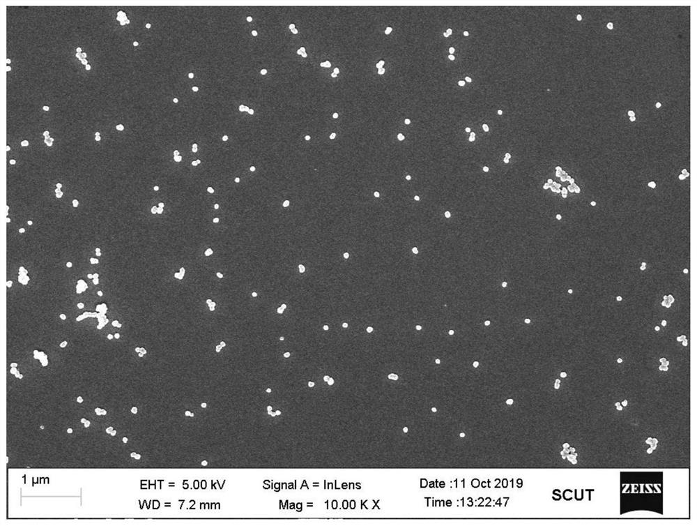 Preparation method of traditional Chinese medicine molecule doped polypyrrole nanoparticles