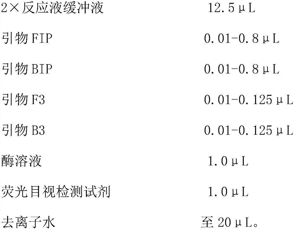 Primers, kit and method for identifying potato M viruses