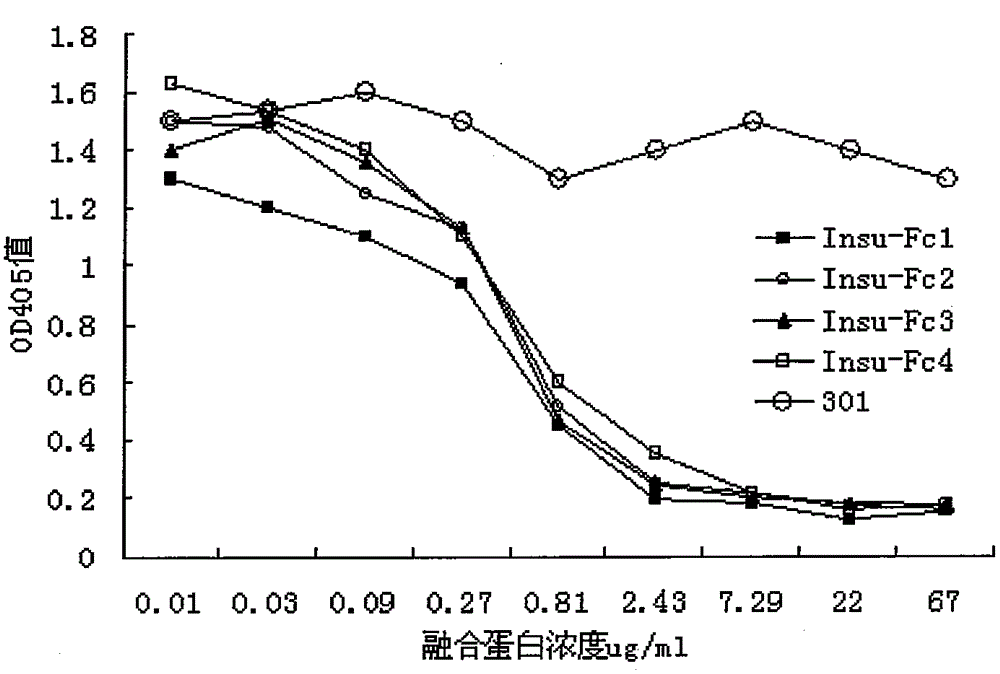 insulin-fc fusion protein