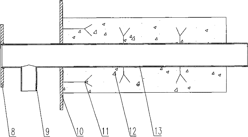 Oil and gas dual-purpose heat accumulating type environment-friendly burner