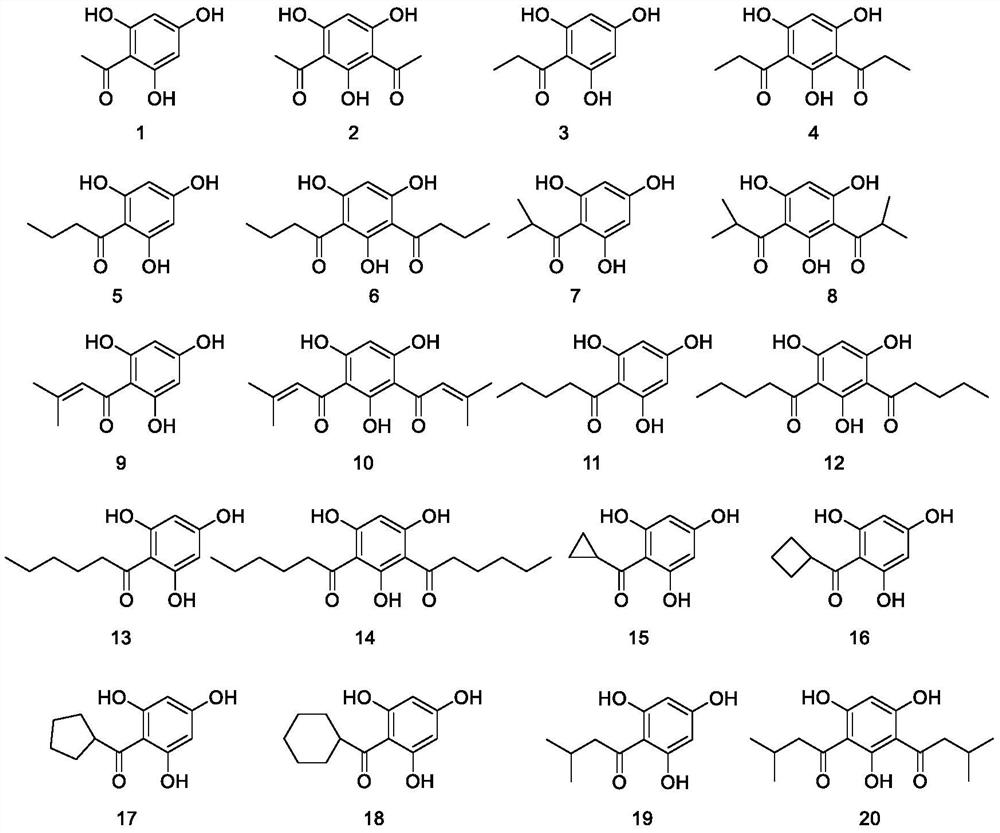 Application of acylated phloroglucinol derivative in preparation of antibacterial agent