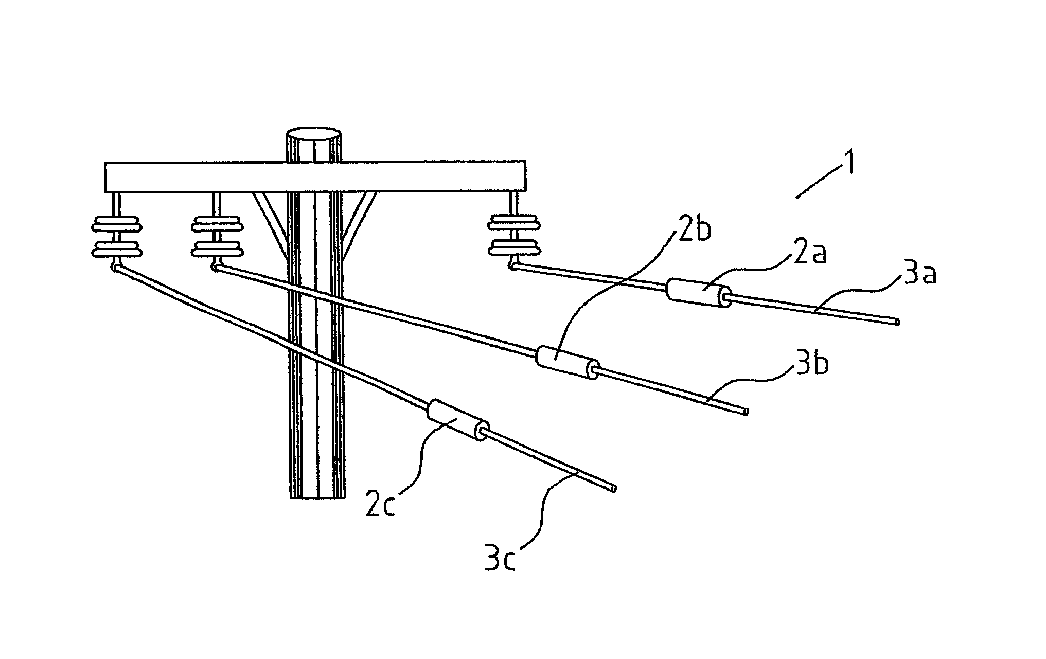 Monitoring device for a medium voltage overhead line
