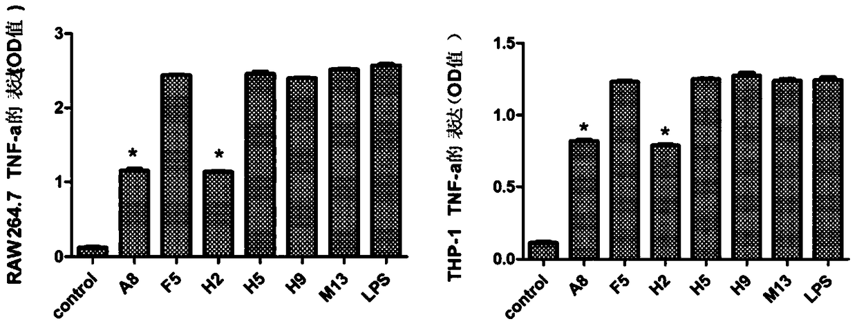 An optimized and highly potent anti-inflammatory peptide targeting md-2