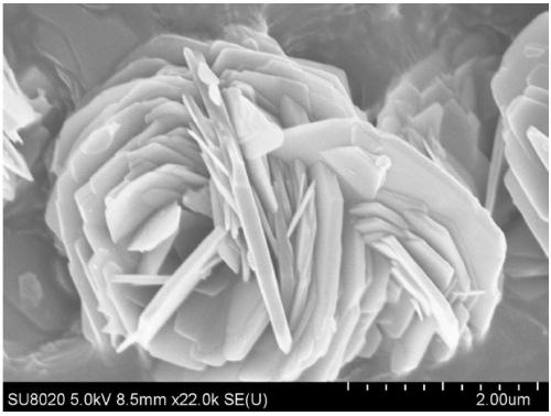 Preparation method and application of vanadyl phosphate catalyst