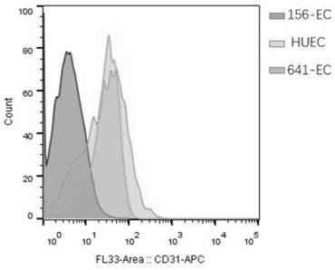 Plasmid vector and application thereof in site-specific integration of exogenous genes at targeted pig COL1A1 locus