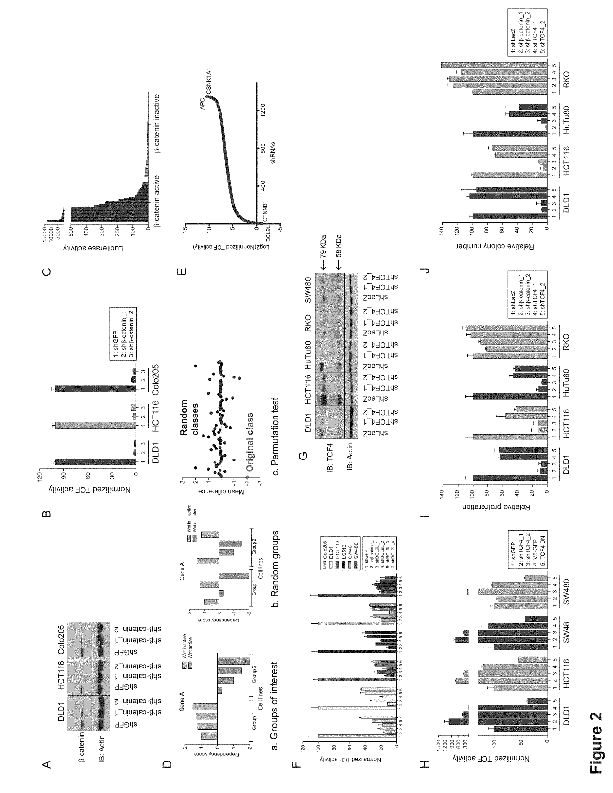 Methods of treating cancer having an active Wnt/β-catenin pathway