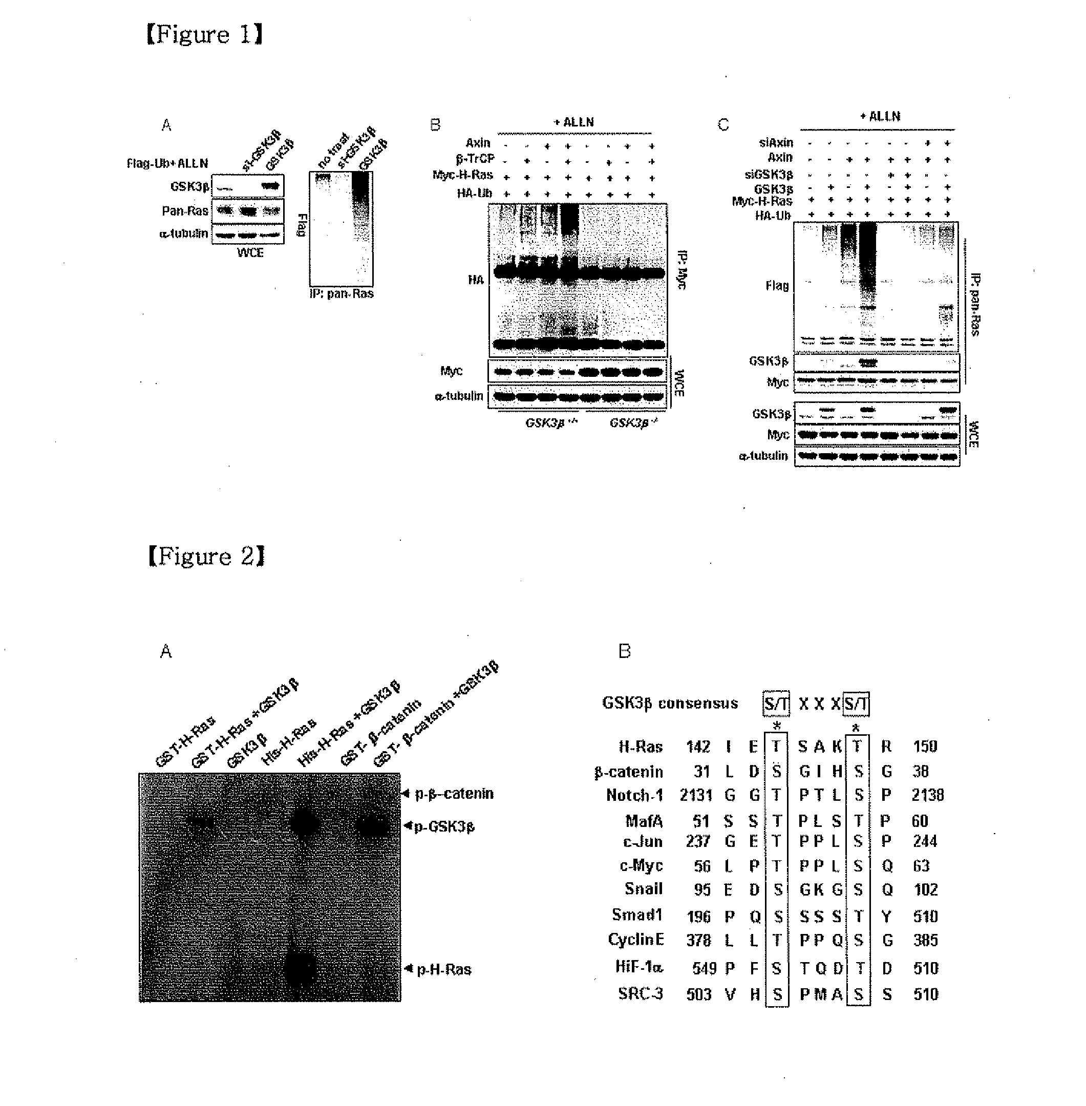 Methods for Cancer Diagnosis, Anti-Cancer Drug Screening, and Test of Drug Effectiveness on the Basis of Phoshorylation of Ras at Thr-144 and Thr-148