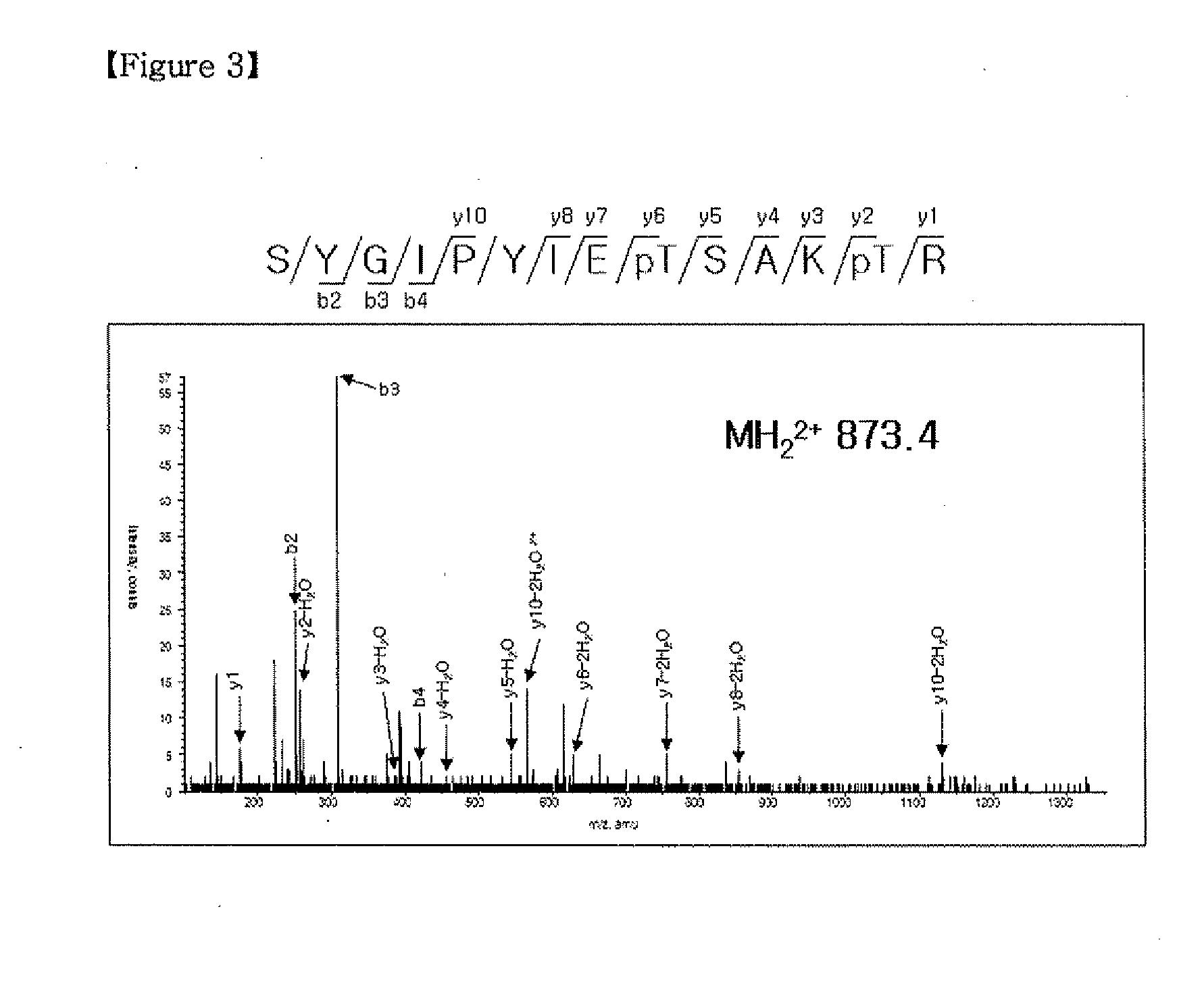 Methods for Cancer Diagnosis, Anti-Cancer Drug Screening, and Test of Drug Effectiveness on the Basis of Phoshorylation of Ras at Thr-144 and Thr-148