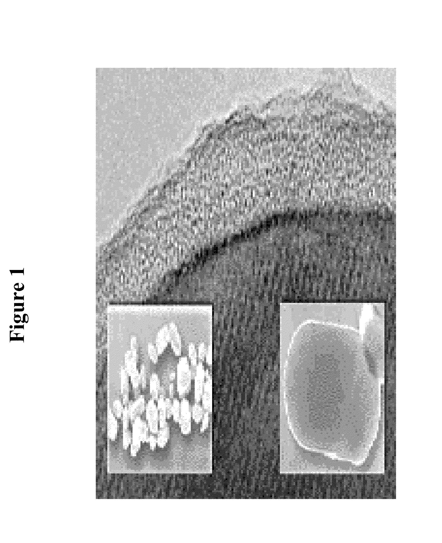 Method for improving the effectiveness of titanium dioxide-containing coatings