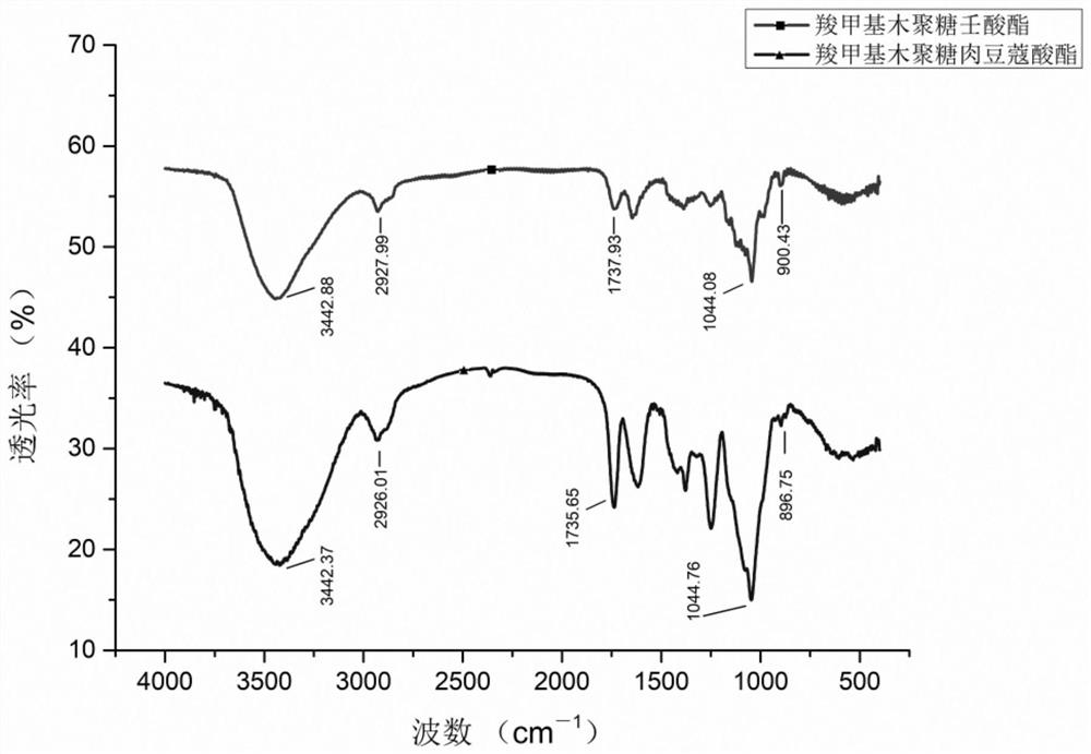 Amphiphilic xylan carrier and preparation method thereof