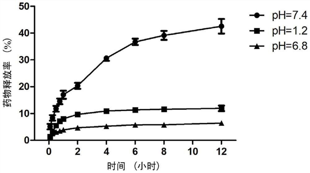 Amphiphilic xylan carrier and preparation method thereof