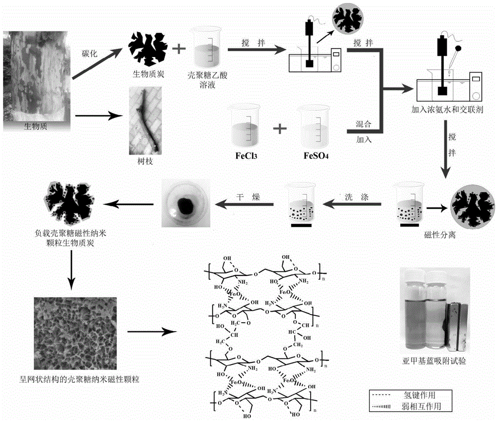 Preparation method for biomass charcoal adsorbent loaded with chitosan magnetic nanoparticles