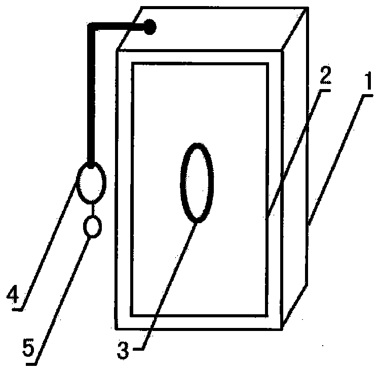 Medical magnifying film-viewing device
