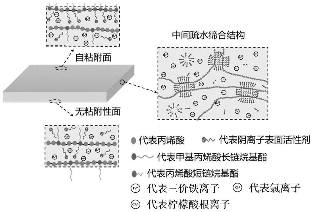 A kind of transparent conductive hydrogel with single-sided self-adhesion and its preparation method and application