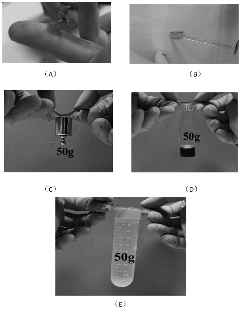 A kind of transparent conductive hydrogel with single-sided self-adhesion and its preparation method and application