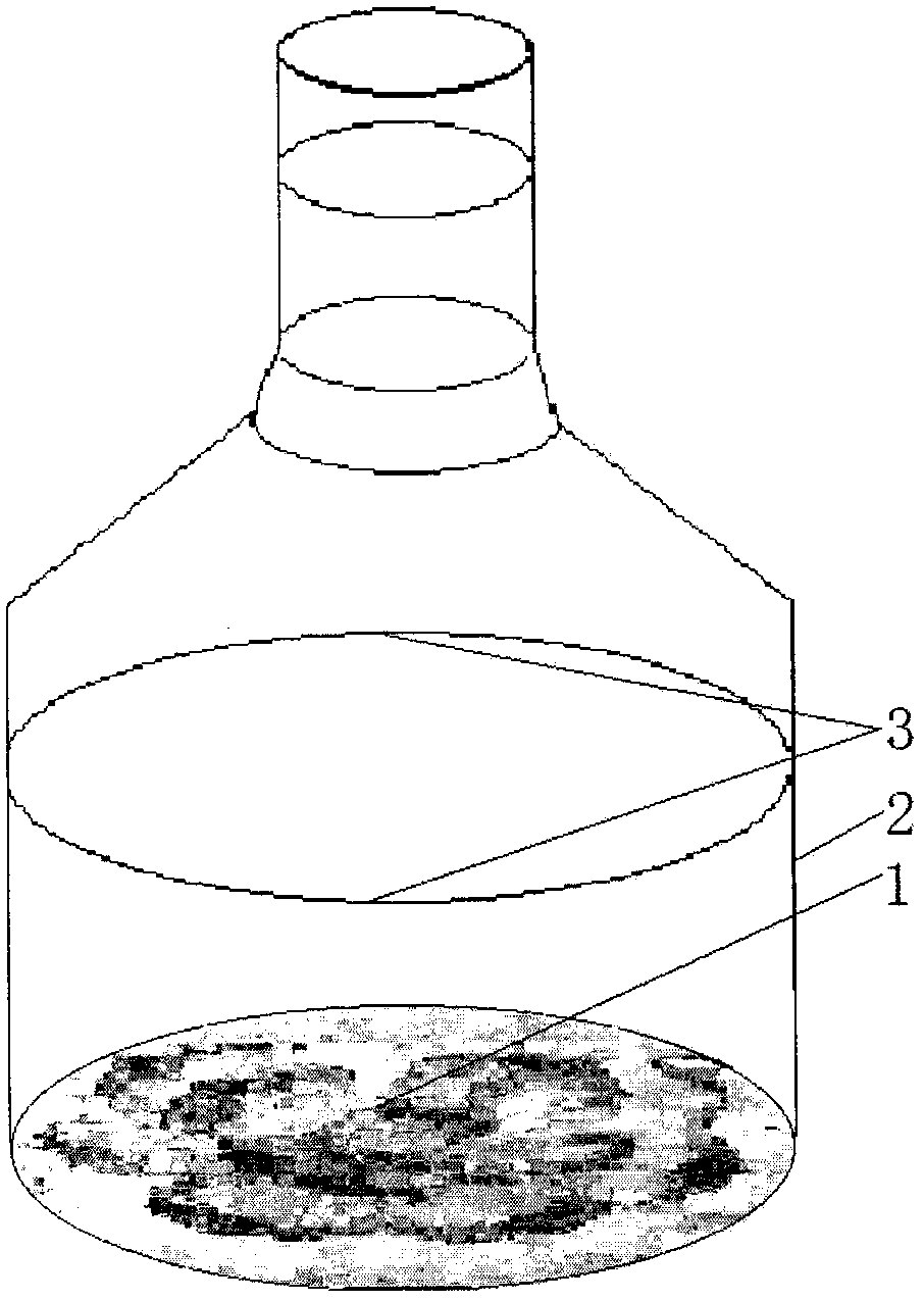 Transparent wine bottle with carve patterns at inner wall and production process thereof