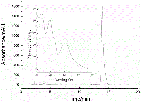 Method for extracting, separating and purifying imperatorin and cnidium lactone from fructus cnidii