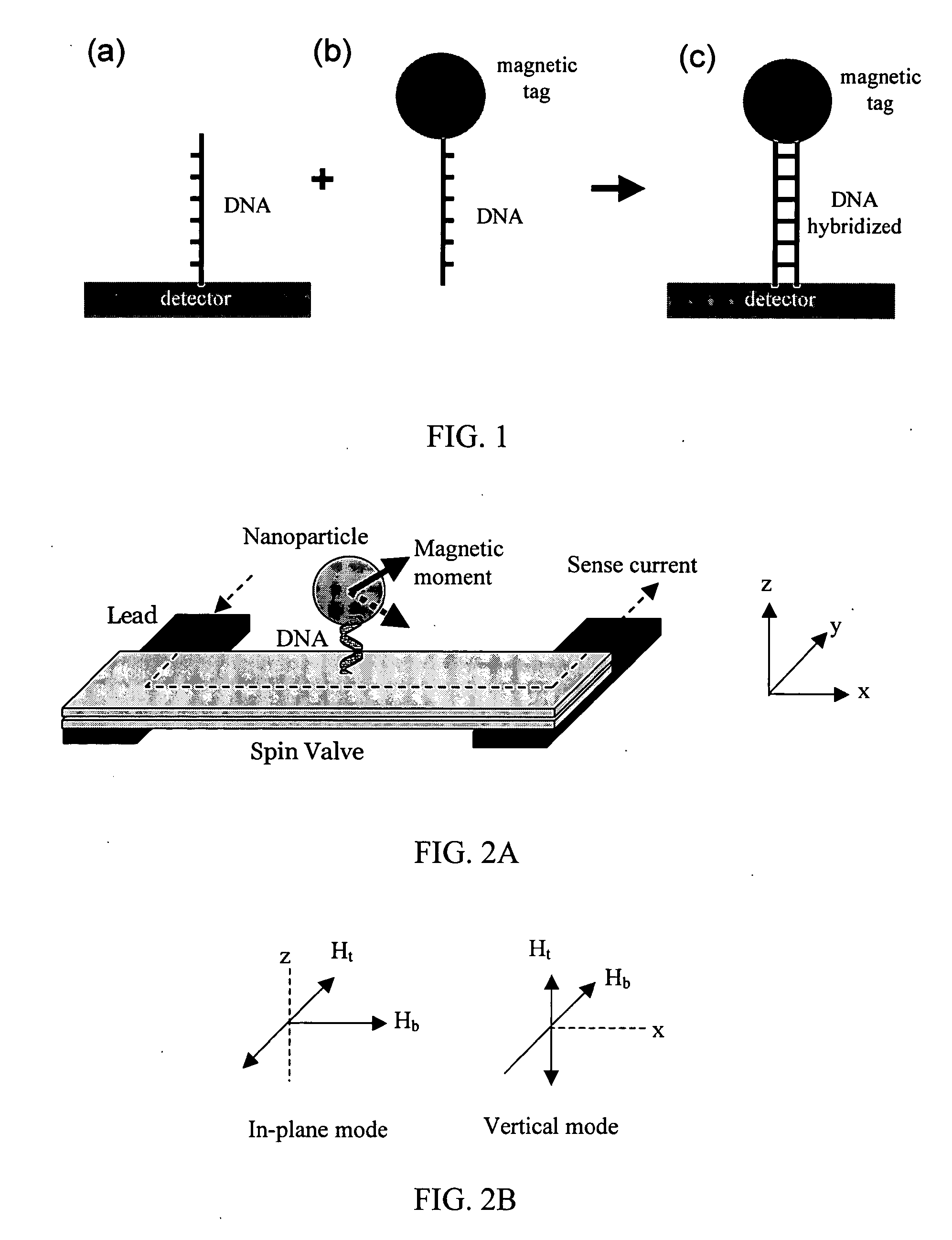 Magnetic nanoparticles, magnetic detector arrays, and methods for thier use in detecting biological molecules