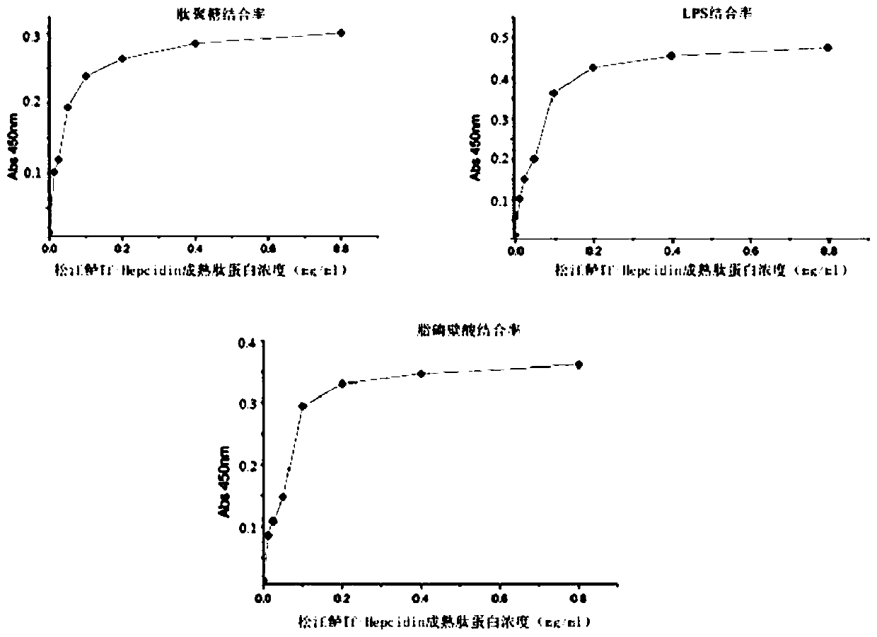 A kind of Songjiang perch tf-hepcidin gene, Songjiang perch tf-hepcidin mature peptide protein and its application