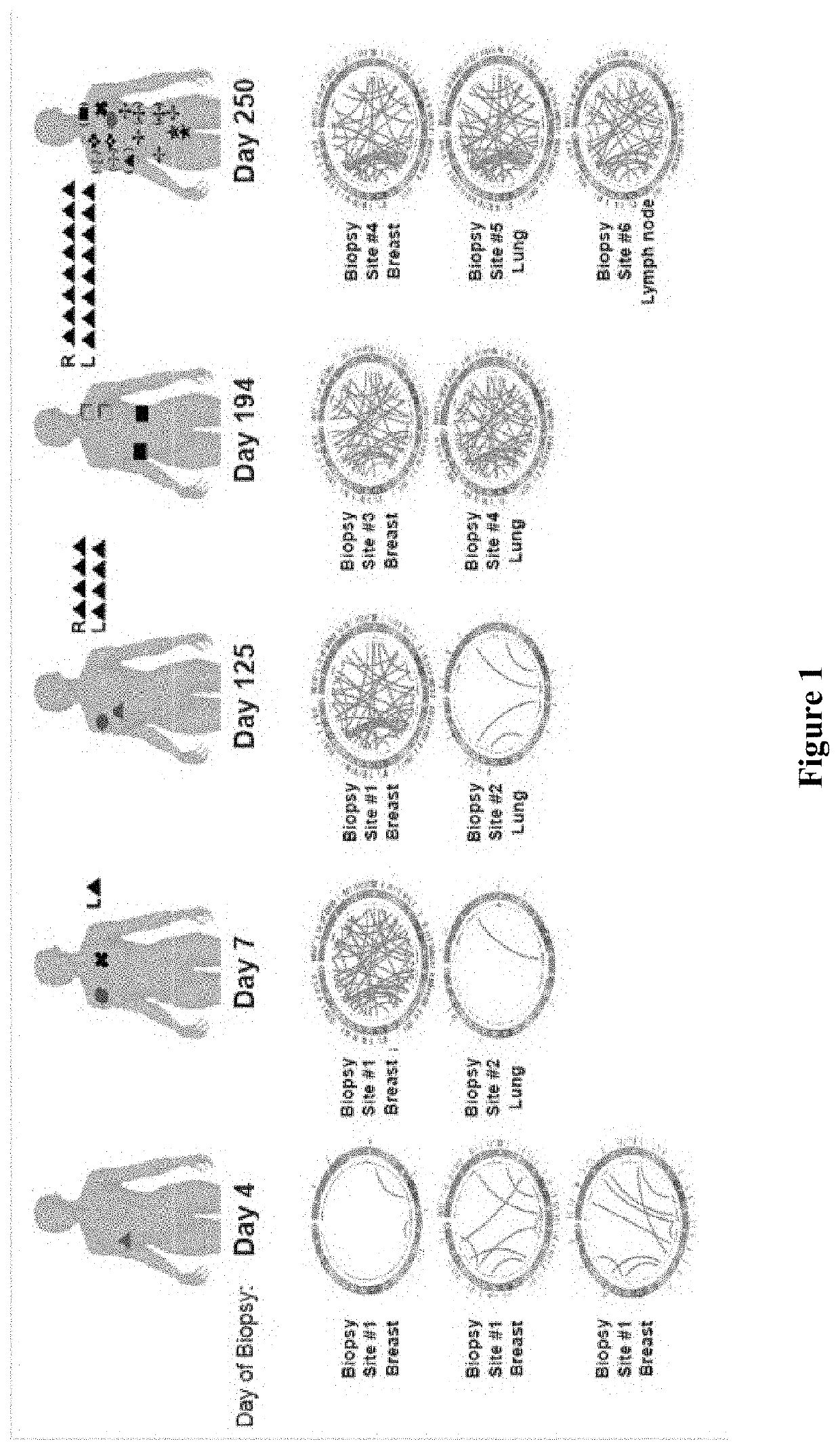 Iterative discovery of neoepitopes and adaptive immunotherapy and methods therefor