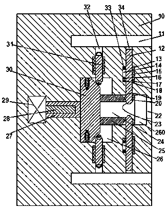 Novel dust removal device