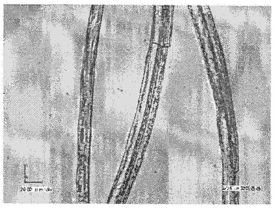 Flameproof rayon fiber, method for manufacturing the same and flameproof fiber structure