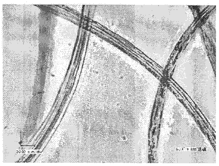 Flameproof rayon fiber, method for manufacturing the same and flameproof fiber structure