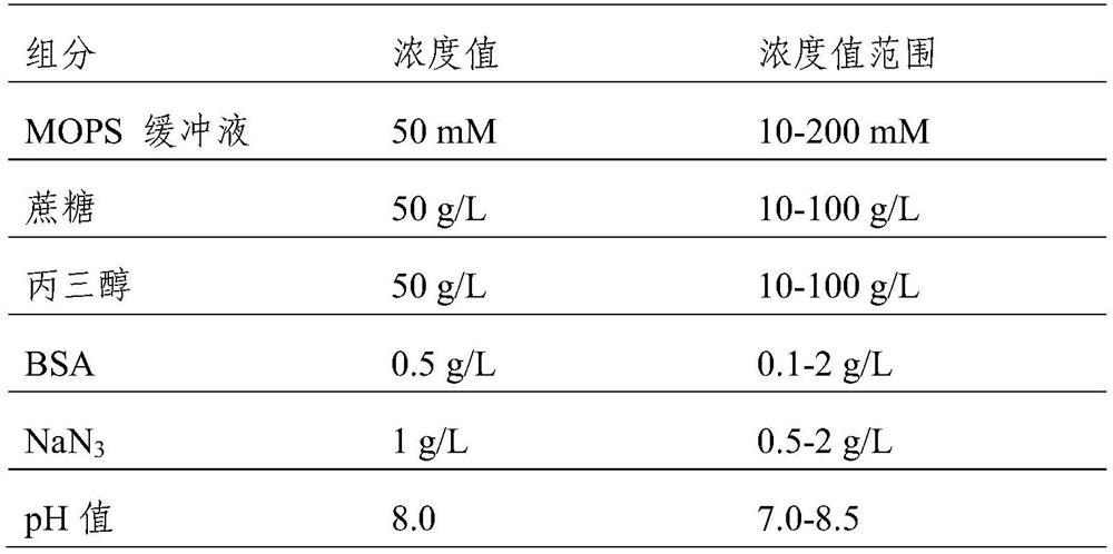 Cyclic citrullinated peptide double-microsphere conjugate as well as preparation method and application thereof