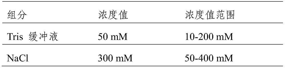 Cyclic citrullinated peptide double-microsphere conjugate as well as preparation method and application thereof