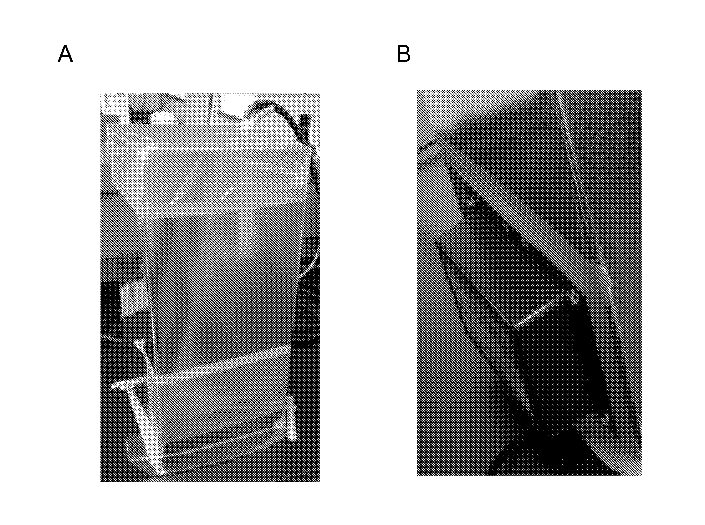 Polymer coating compositions and coated products