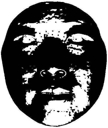 3D face identification method under local shielding conditions based on radial lines