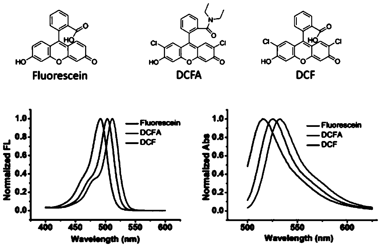 Hydrogenated dichlorofluorescein diacetamide derivative as well as preparation method and application thereof