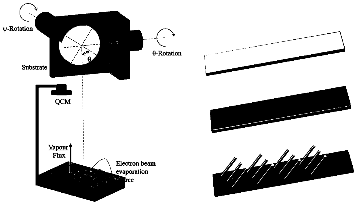 Surface enhanced Raman spectrum detection method combining gel electrophoresis separation technology