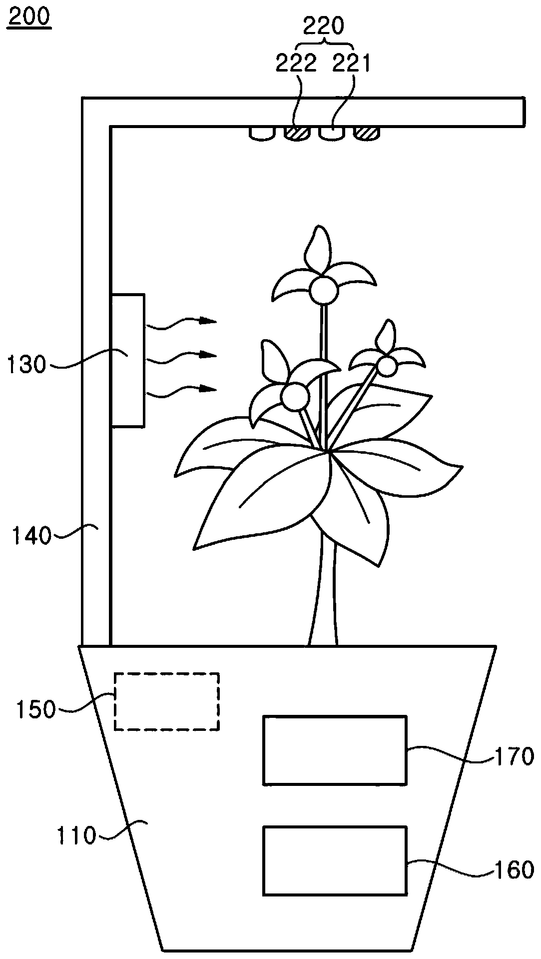 Plant cultivation device and method for culturing plants