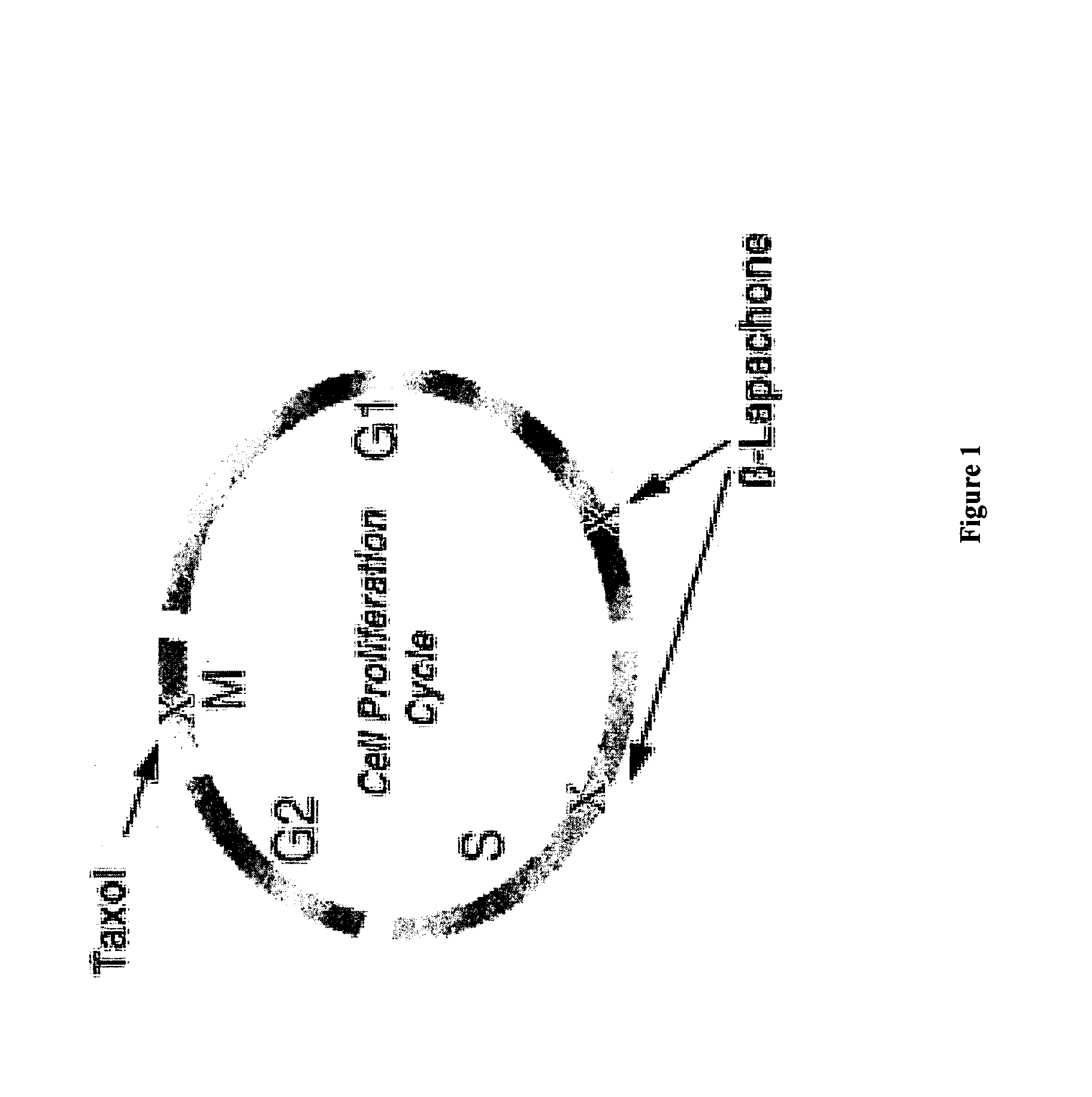 Treatment of hematologic tumors and cancers with beta-lapachone, a broad spectrum anti-cancer agent