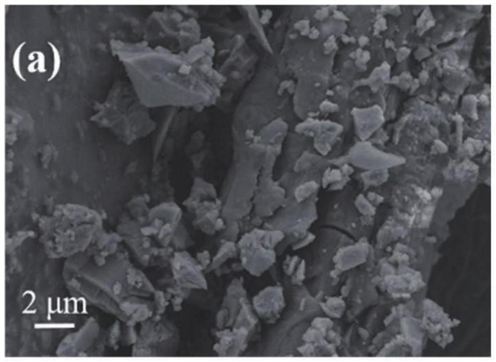 Application and evaluation method of catalytic product and organic layered bimetallic silicate