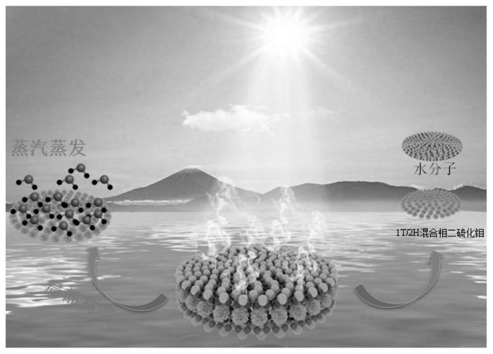 A 1t/2h mixed-phase molybdenum disulfide material and its preparation method and application